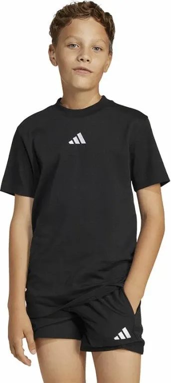 Pamja 1