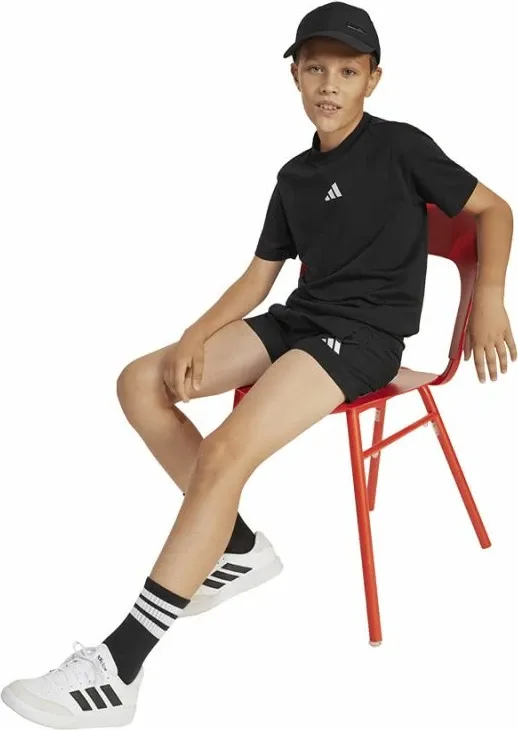 Pamja 3