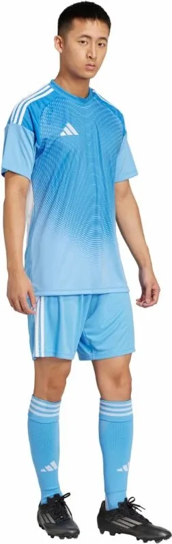 Pamja 8