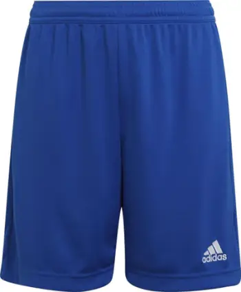Shorce për djem adidas, të kaltërta