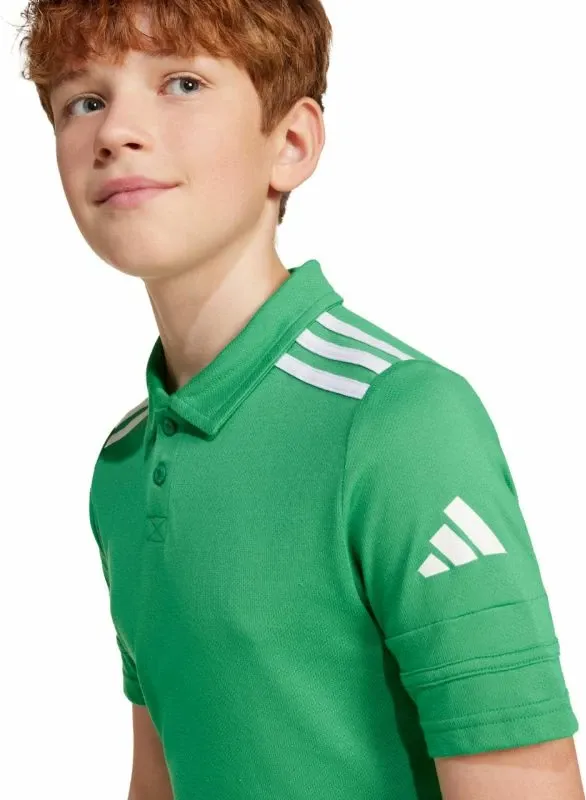 Pamja 6