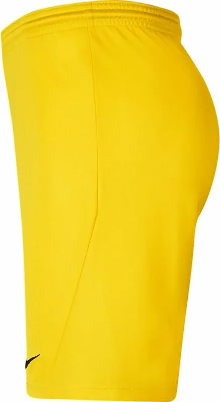 Pamja 3