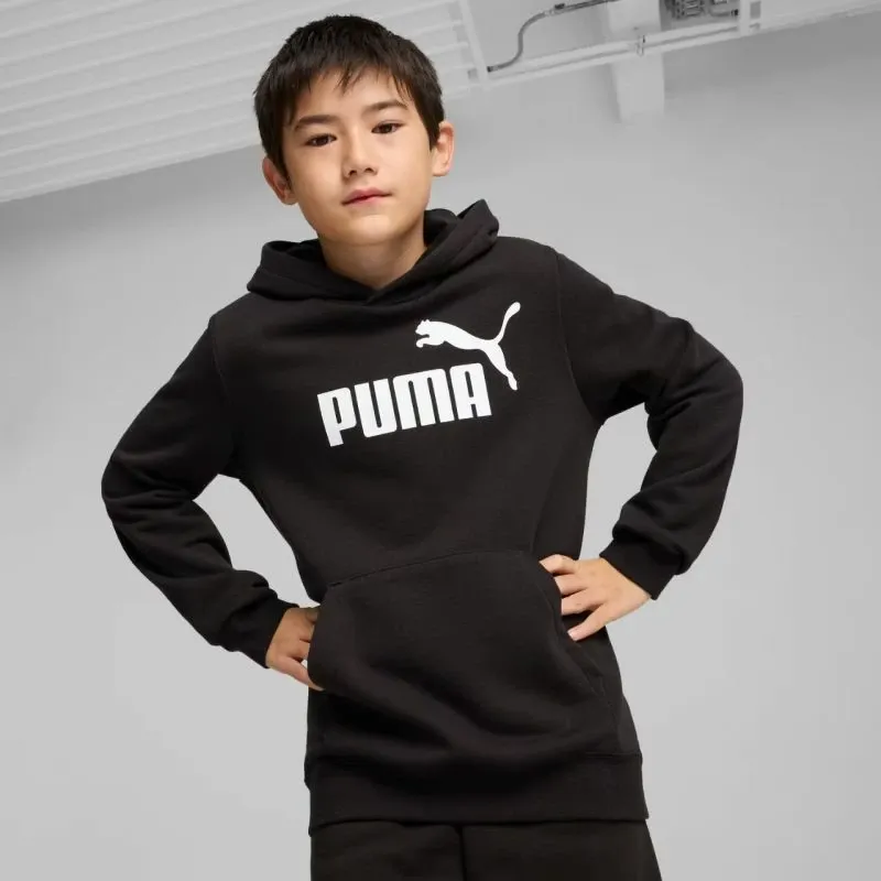 Pamja 3