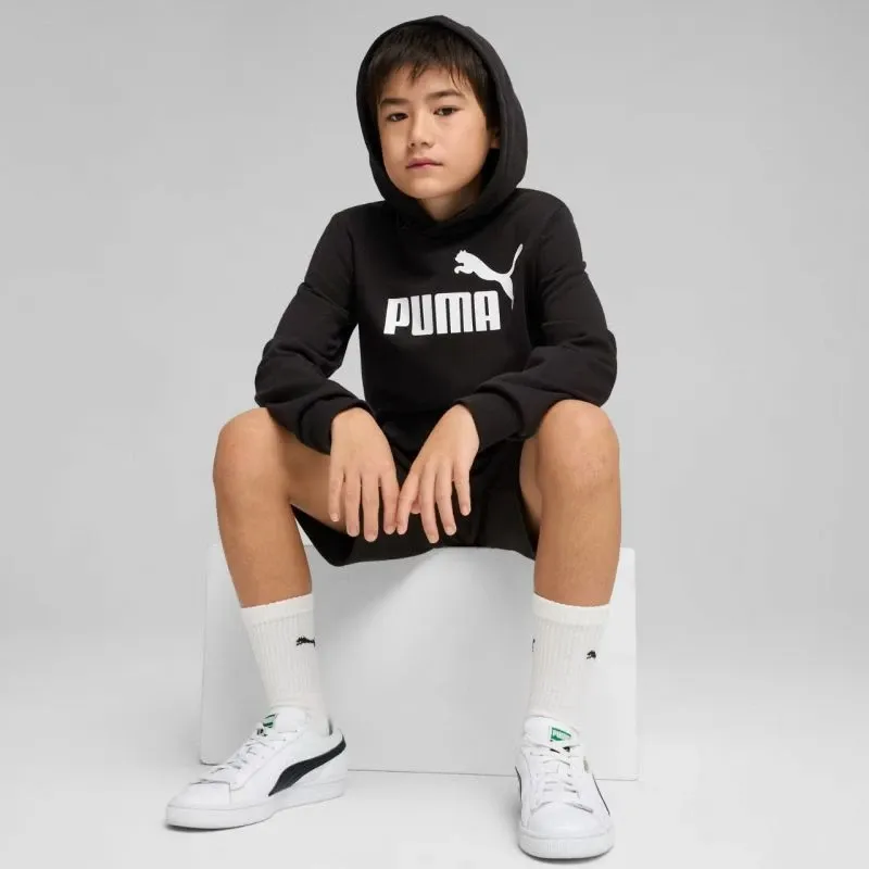 Pamja 5