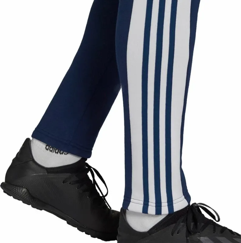 Pamja 6