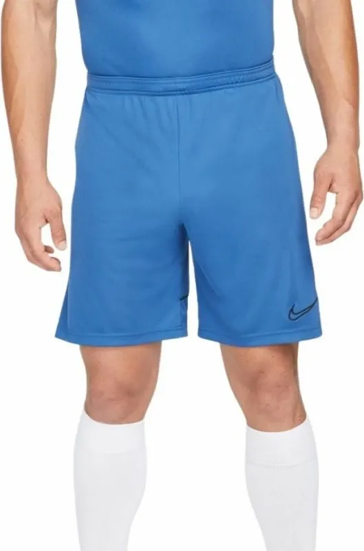 Pamja 1