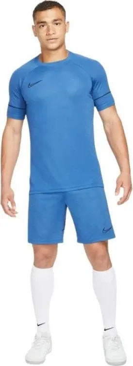 Pamja 4