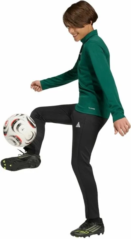 Pamja 12