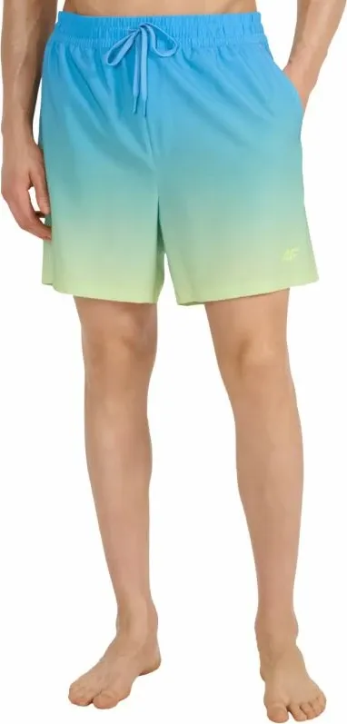 Pamja 1