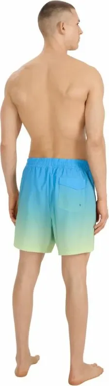Pamja 3