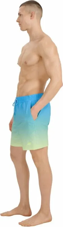 Pamja 6