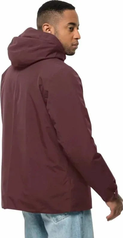Pamja 3