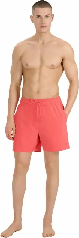 Pamja 7