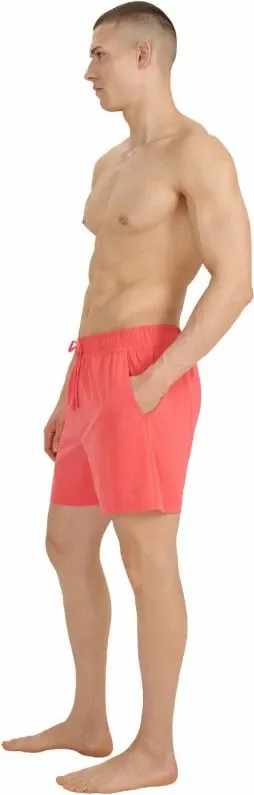 Pamja 6