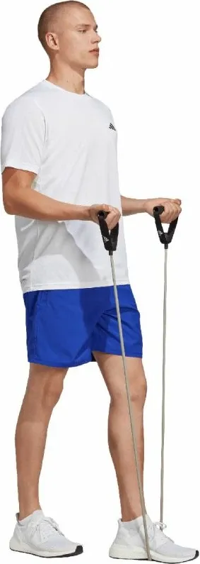 Pamja 4