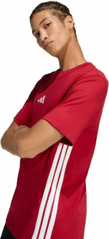 Pamja 3