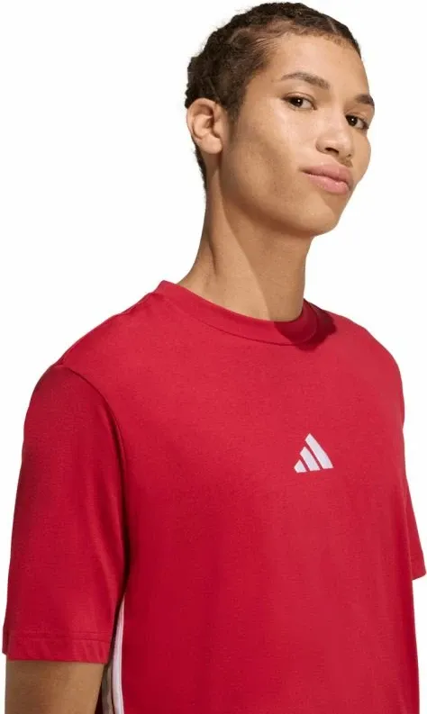 Pamja 4
