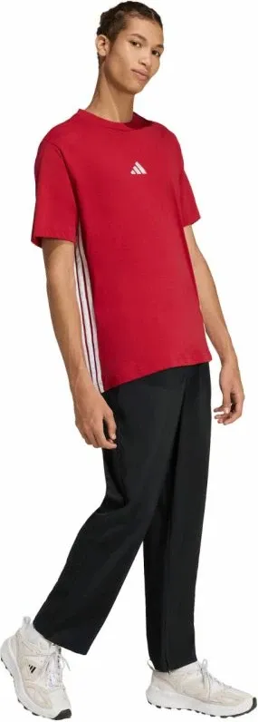 Pamja 5