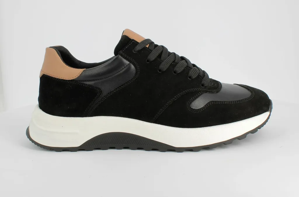 Pamja 3