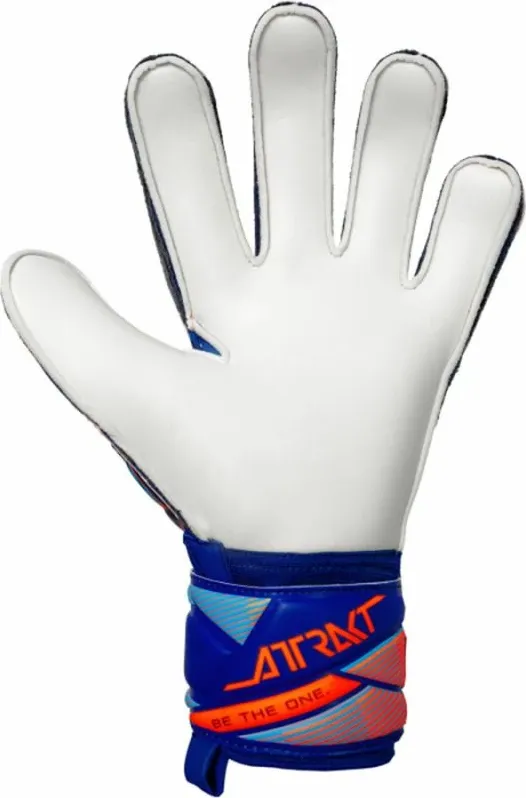 Doreza portieri Reusch Attrakt Solid 56 70 515 4129 - 3