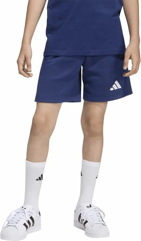 Pamja 1