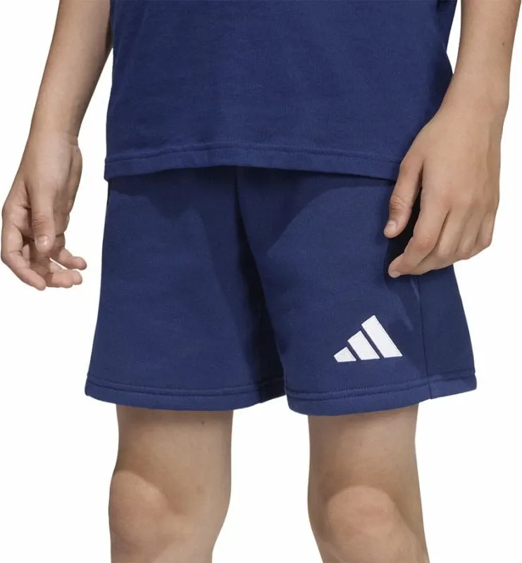 Pamja 3