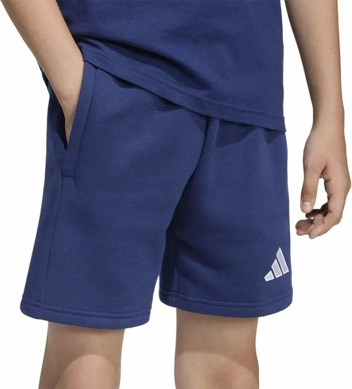 Pamja 4