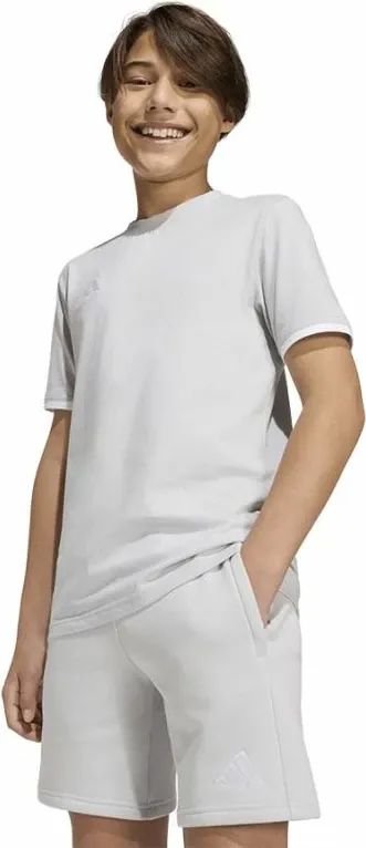 Pamja 4