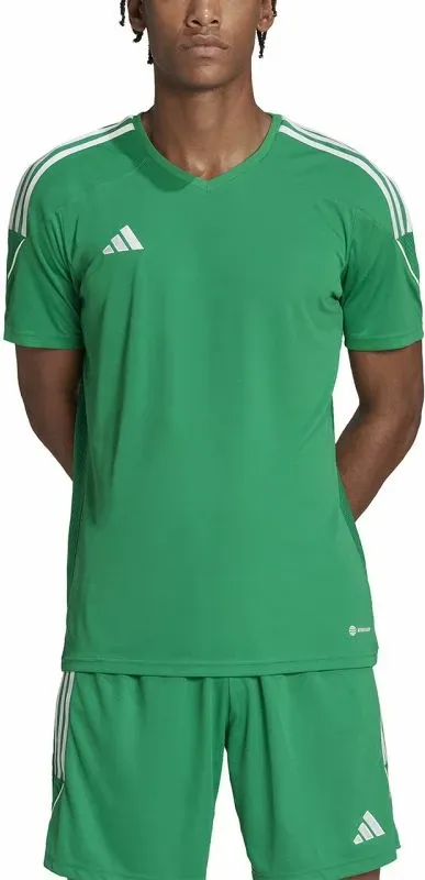 Pamja 6