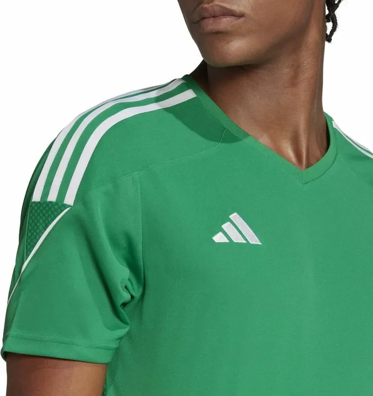 Pamja 10