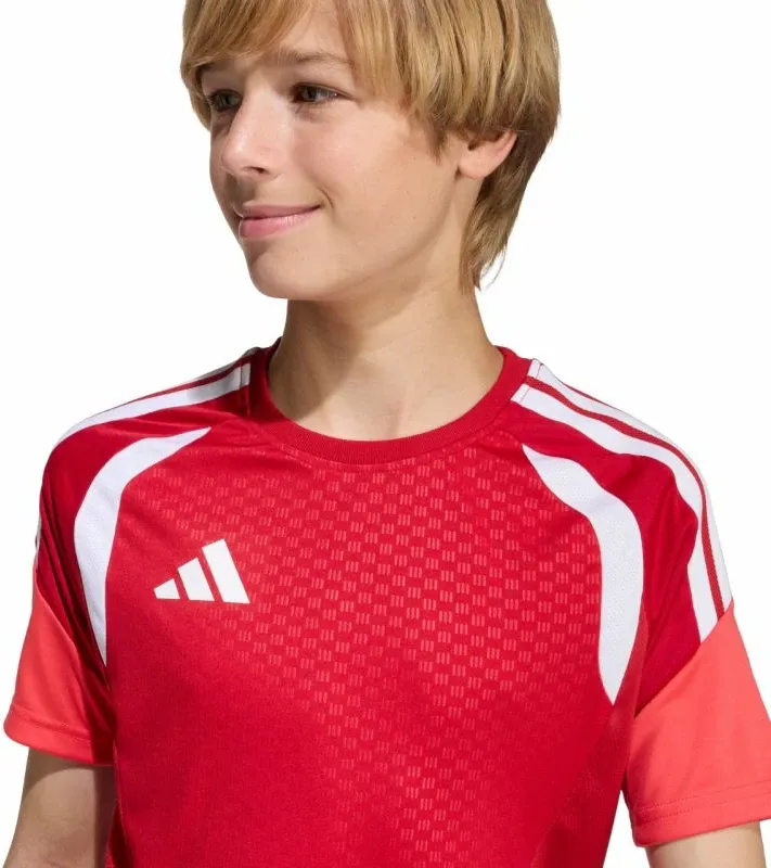 Pamja 7