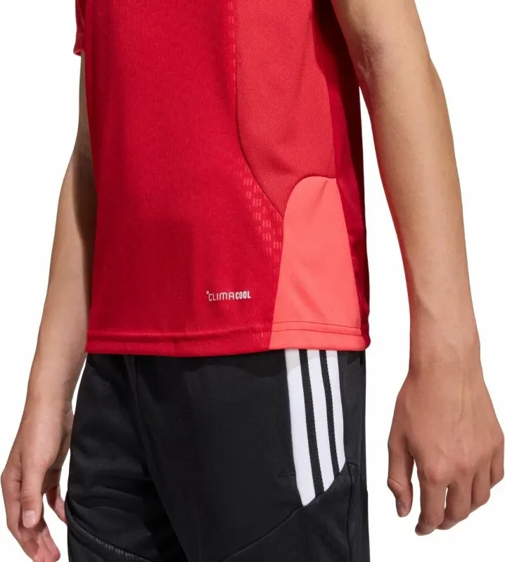 Pamja 8