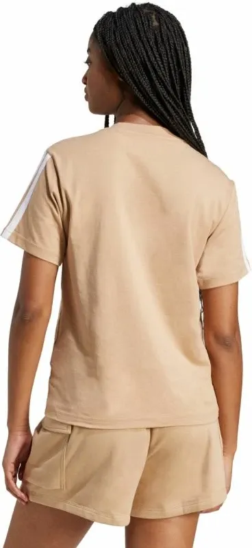 Pamja 3