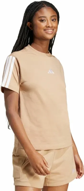 Pamja 4