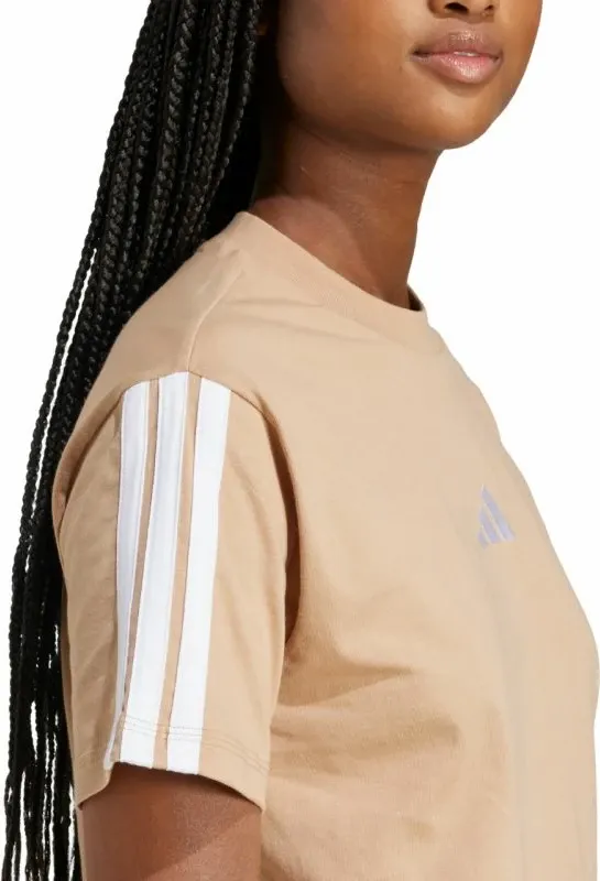 Pamja 6