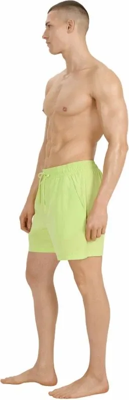 Pamja 6