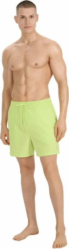 Pamja 7