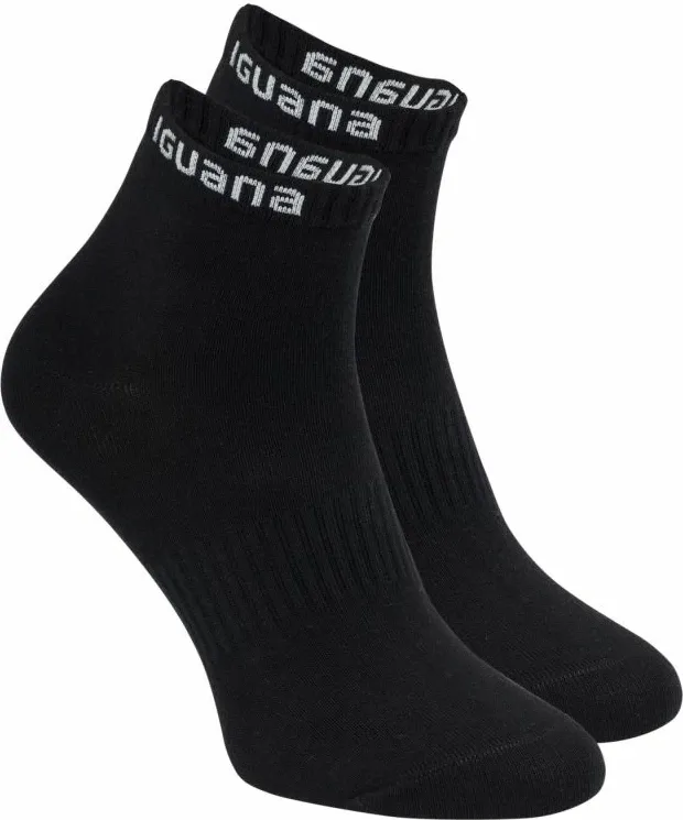 Pamja 2