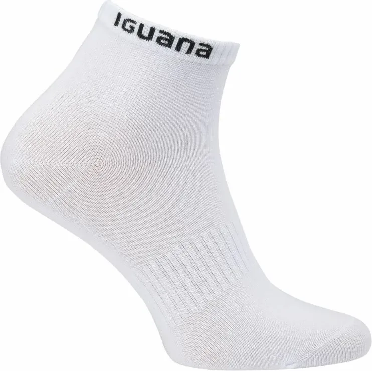 Pamja 5