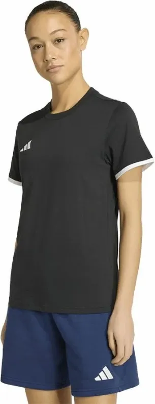 Pamja 1
