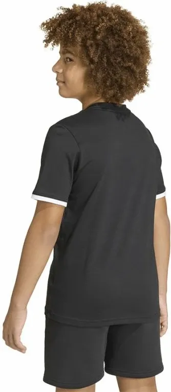 Pamja 4