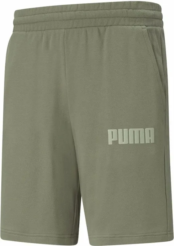 Pamja 1