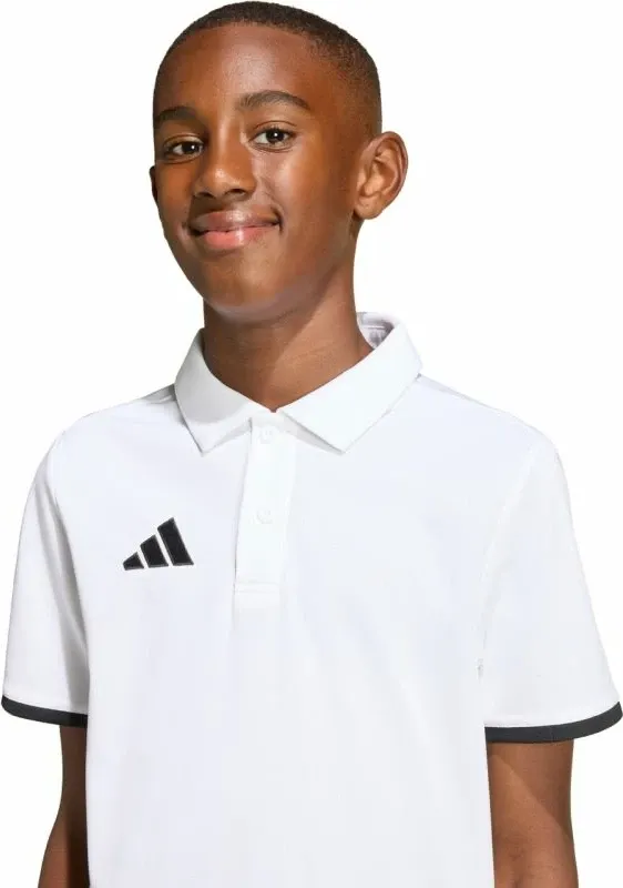 Pamja 14