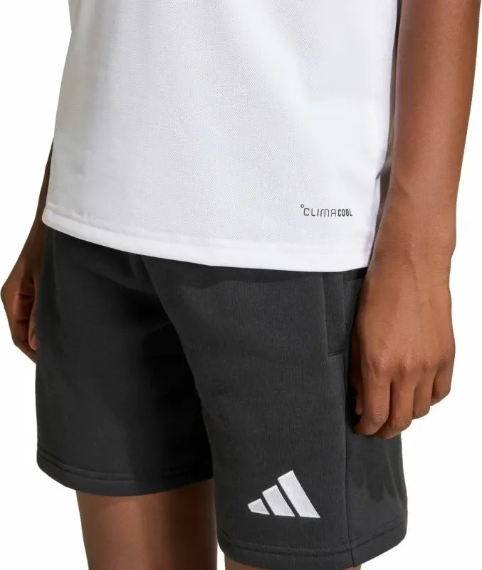Pamja 15