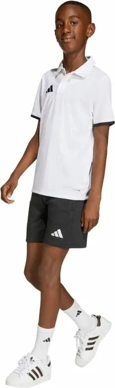 Pamja 16