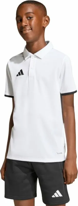 Pamja 4