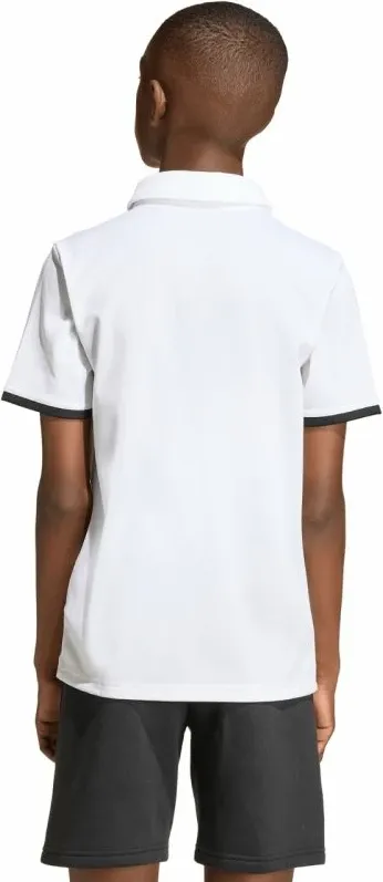 Pamja 5