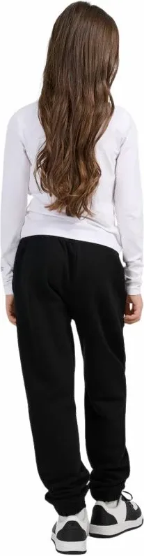 Pamja 3