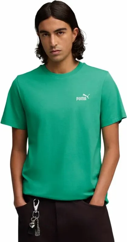 Pamja 1