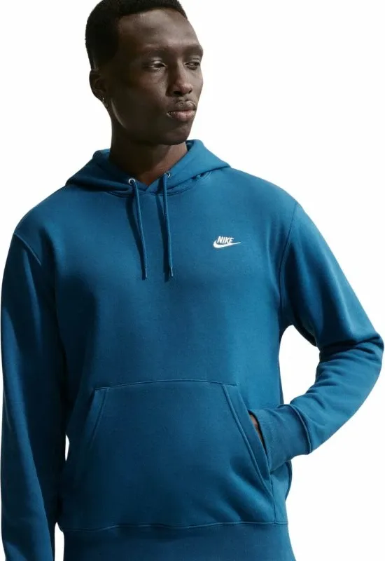 Pamja 3